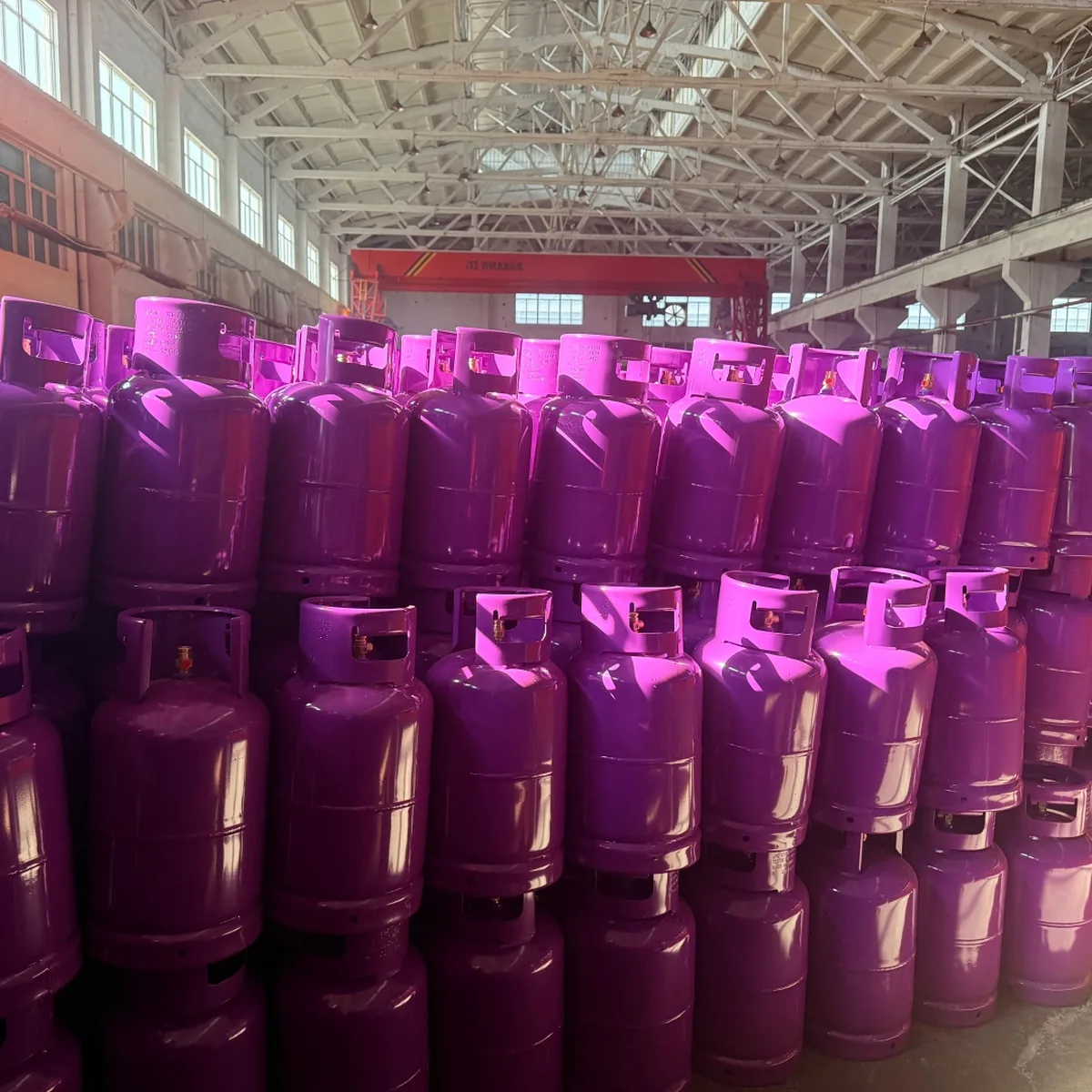 12.5kg Purple LPG Cylinder — Nigeria - Nigeria - Ningbo factory Made in China wholesale
