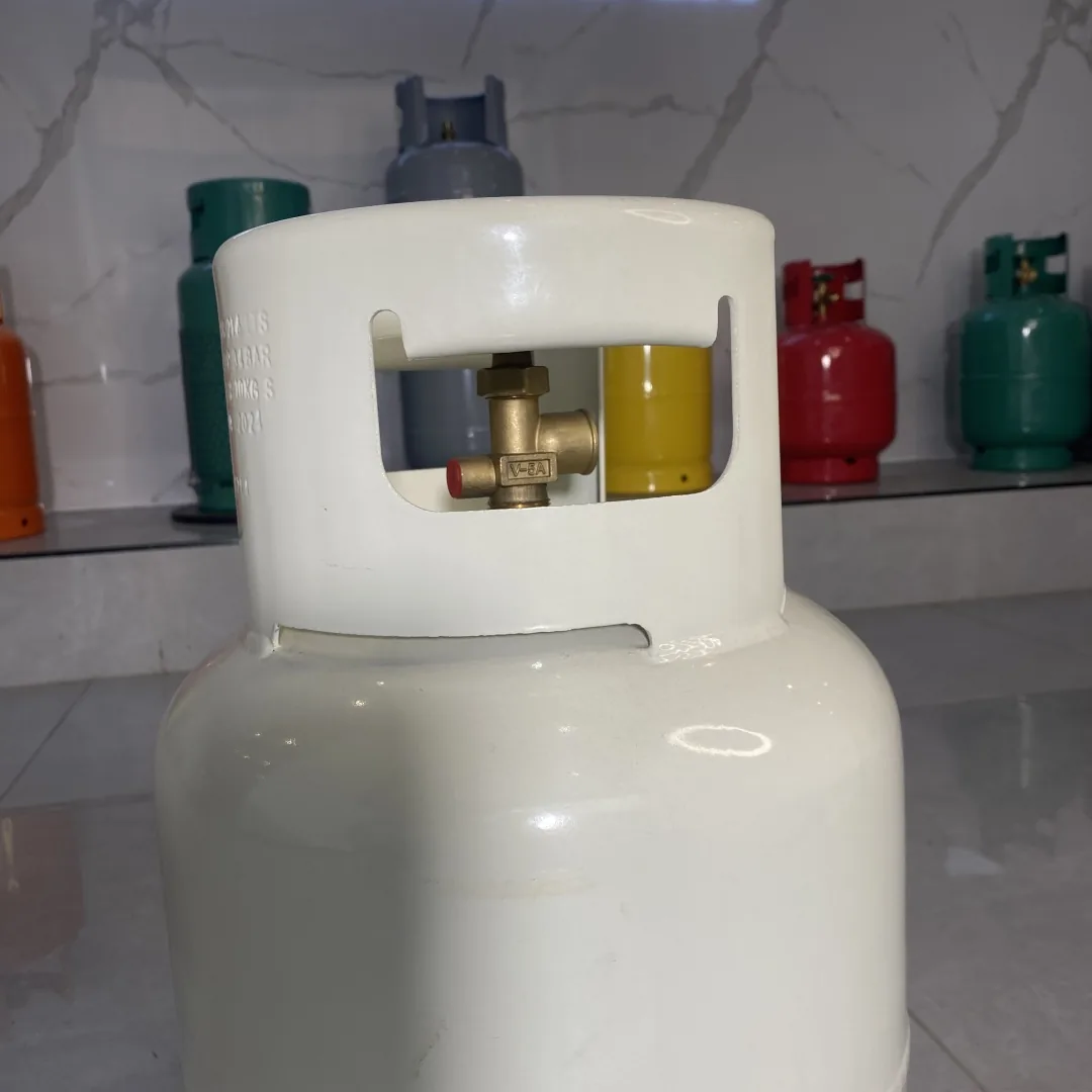 21.0L 9kg LPG Cylinder white - Mexico & North America - Ningbo factory Made in China wholesale