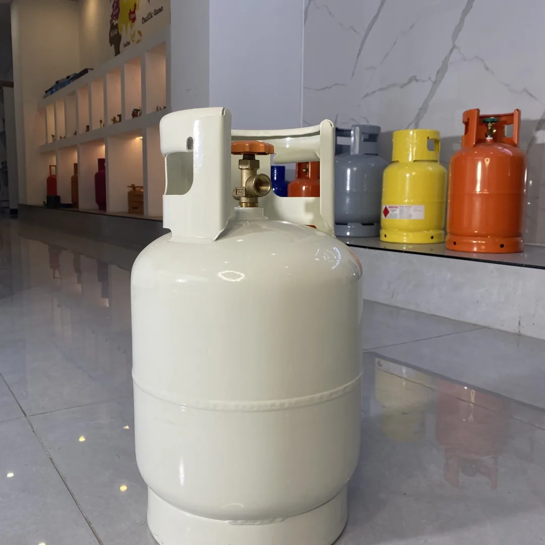 21.0L 9kg LPG Cylinder white - Mexico & North America - Ningbo factory Made in China wholesale