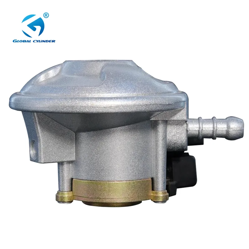 20mm Cylinder-Connection LPG Gas Regulator - Ningbo factory Made in China wholesale