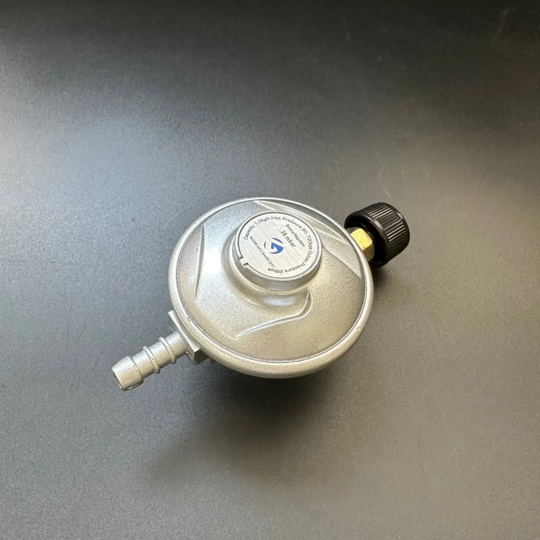 Z60 Camping LPG Gas Regulator - Ningbo factory Made in China wholesale