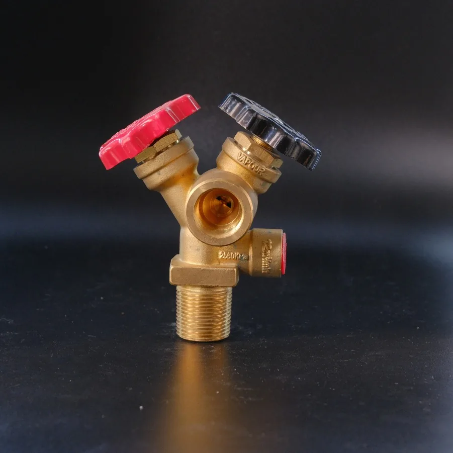 Zimbabwe Dual Valve — Liquid & Vapour Phase - Ningbo factory Made in China wholesale